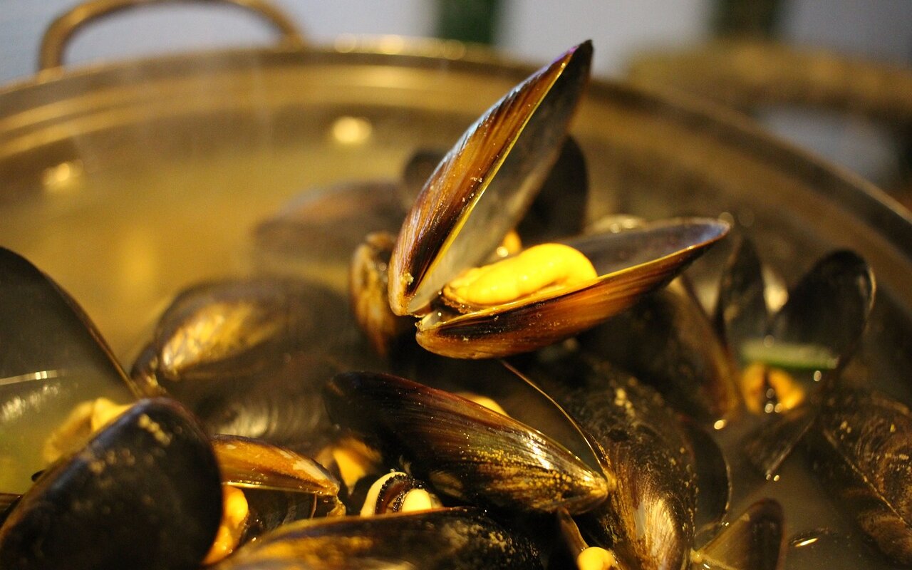 Moules