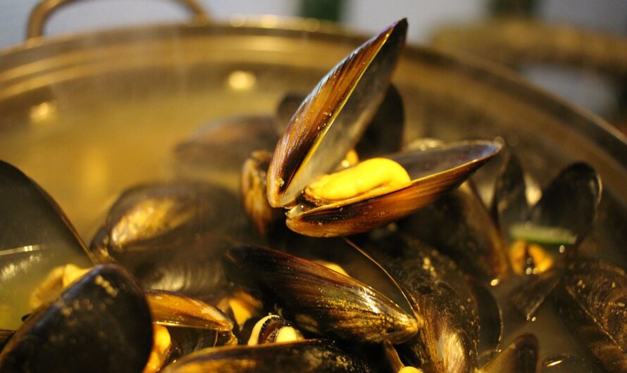 AVC: un biomatériau inspiré des moules permet un meilleur traitement