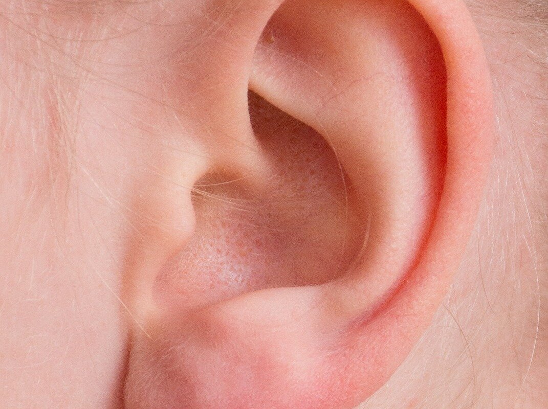 ear, auricle, listen