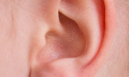 ear, auricle, listen