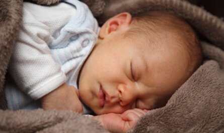 baby, child, sleeping, asleep, napping, newborn, infant, cute, adorable, baby boy, boy, portrait, baby portrait, baby, baby, baby, baby, baby