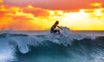 surfing, sunset, waves, surf, surfboard, surfer, water sports, sea, java island, indonesia, water, nature, ocean, seascape, surfing, surfing, surfing, surfing, surfing, surf, surf