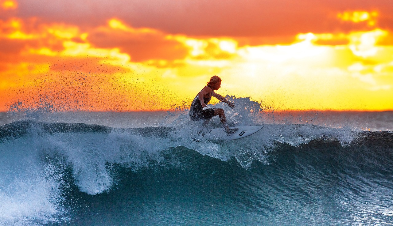 surfing, sunset, waves, surf, surfboard, surfer, water sports, sea, java island, indonesia, water, nature, ocean, seascape, surfing, surfing, surfing, surfing, surfing, surf, surf