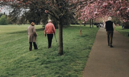 Elderly individuals enjoying a walk under cherry blossoms in a vibrant spring park setting.