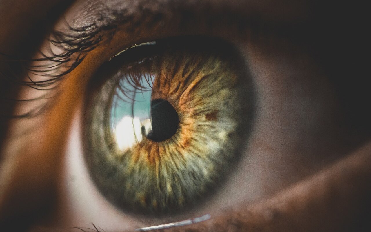 eye, close up, vision