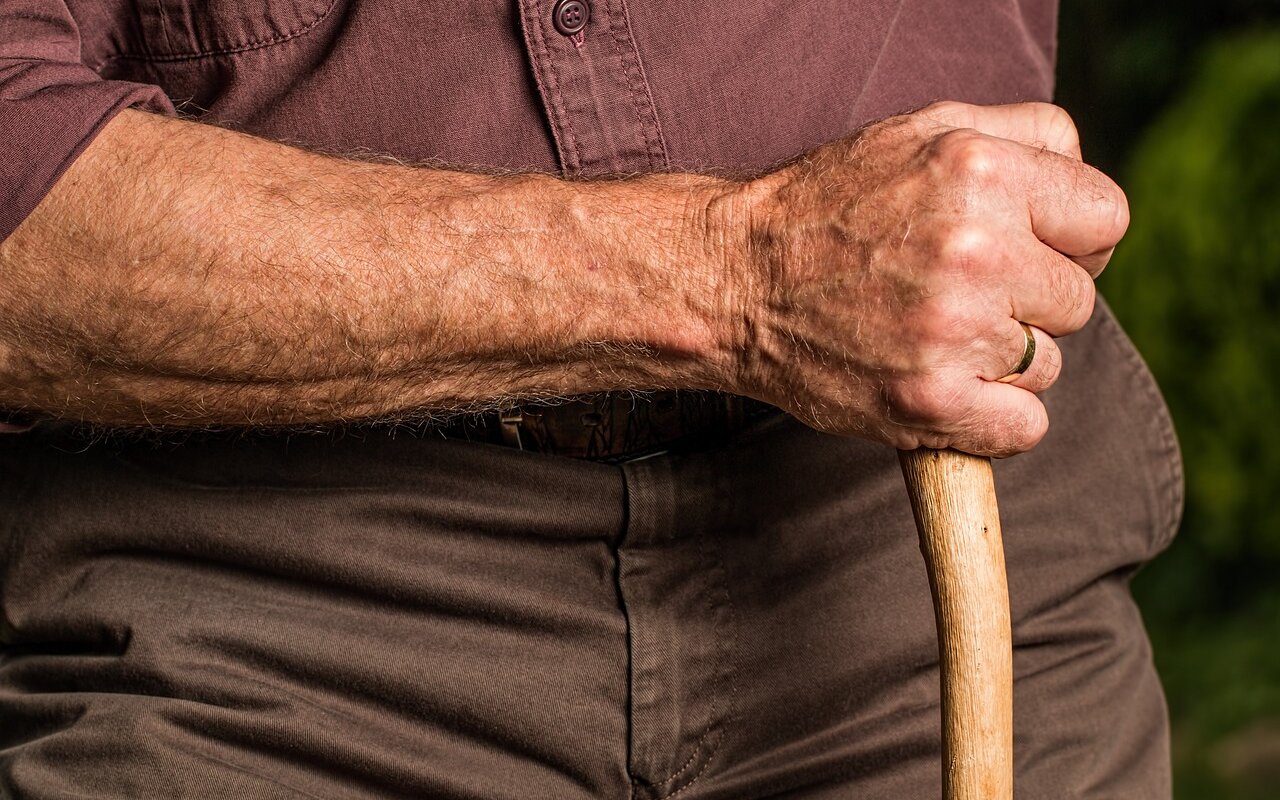 hand, walking stick, arm, elderly, old person, cane, retired, retirement, relaxed, content, senior, pensioner, elder, grandparent, outdoors, aged, walking stick, arm, arm, arm, arm, elderly, elderly, cane, retirement, retirement, senior, senior, elder, elder, elder, elder, elder