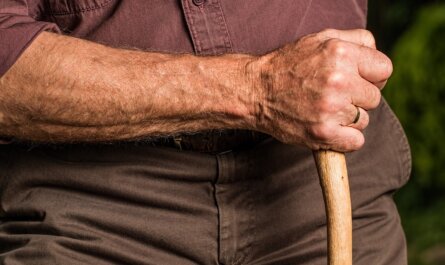 hand, walking stick, arm, elderly, old person, cane, retired, retirement, relaxed, content, senior, pensioner, elder, grandparent, outdoors, aged, walking stick, arm, arm, arm, arm, elderly, elderly, cane, retirement, retirement, senior, senior, elder, elder, elder, elder, elder