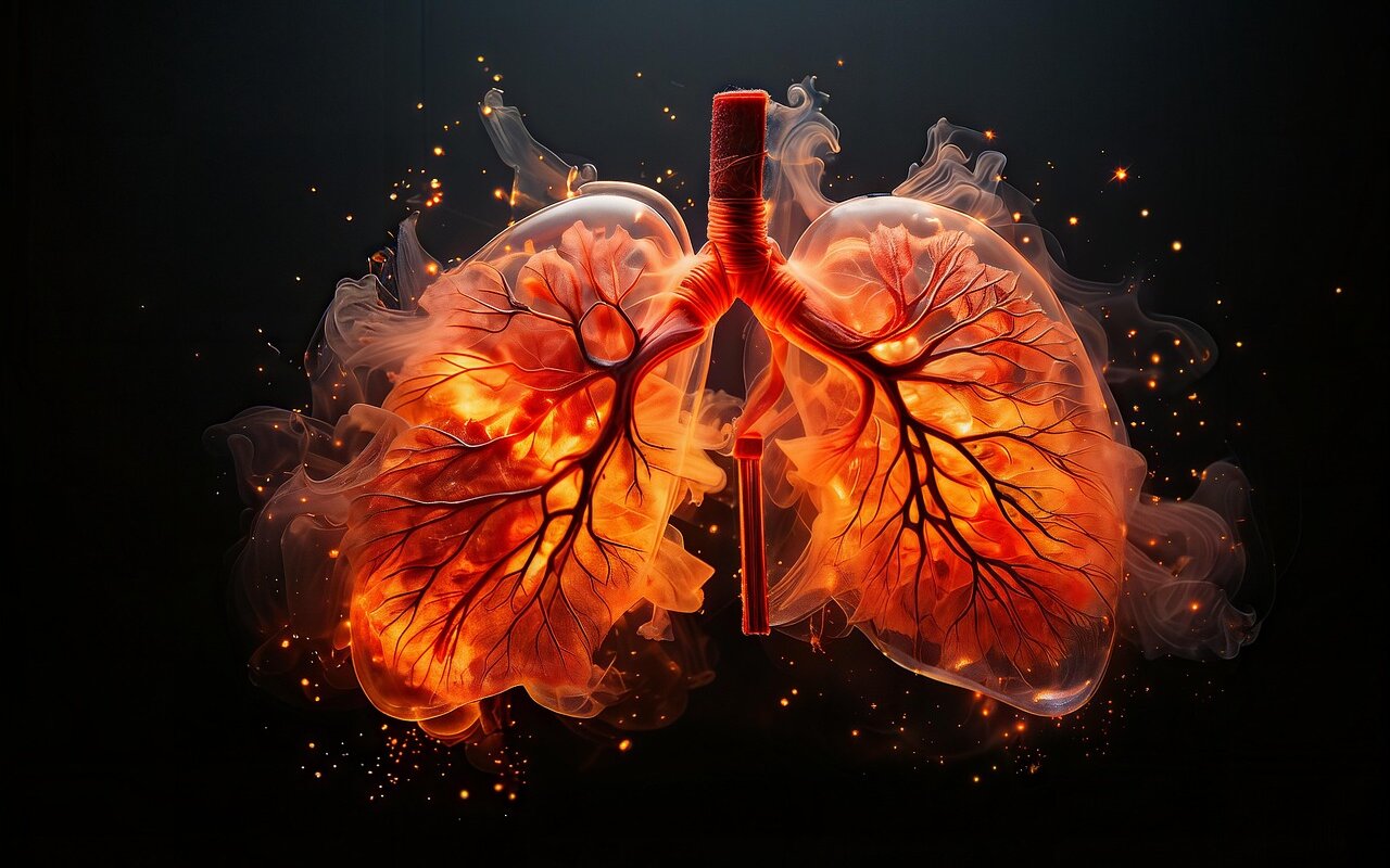 ai generated, lungs, fiery, fire, no smoking, combustion, smoking, flame, infect, medicine, lungs, lungs, lungs, no smoking, no smoking, no smoking, no smoking, no smoking, smoking, smoking